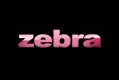 Zebra Fashion